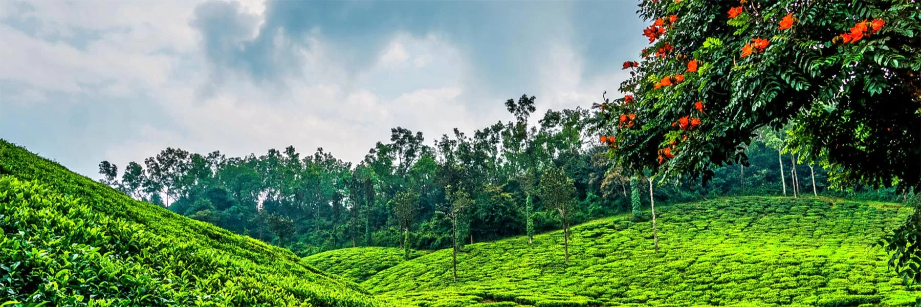 Chikmagalur