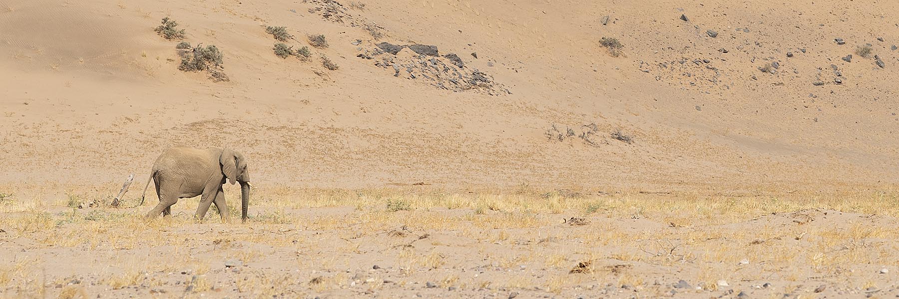 Damaraland