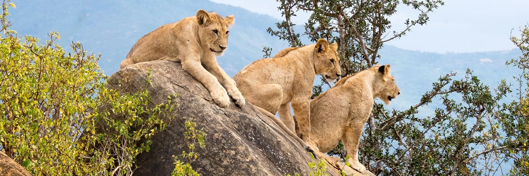 Tsavo National Park