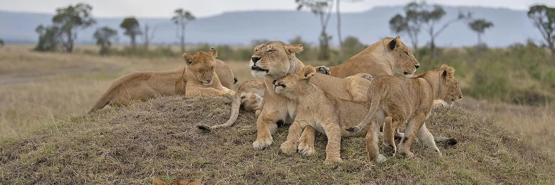 Arusha National Park