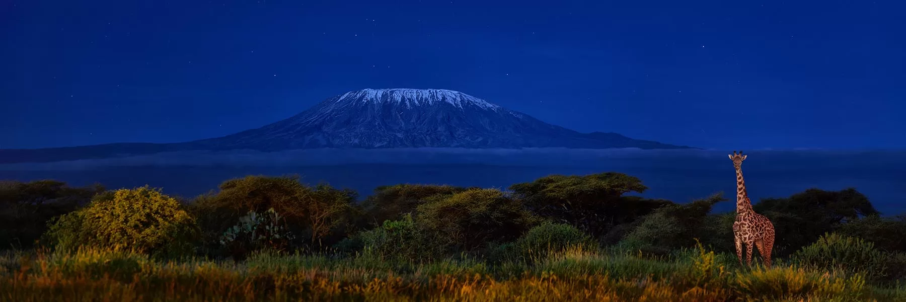 Amboseli safaris