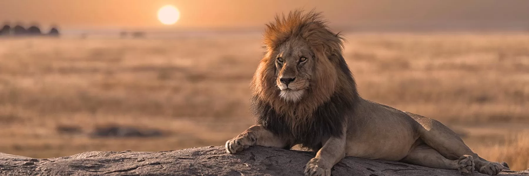 tanzania tour packages