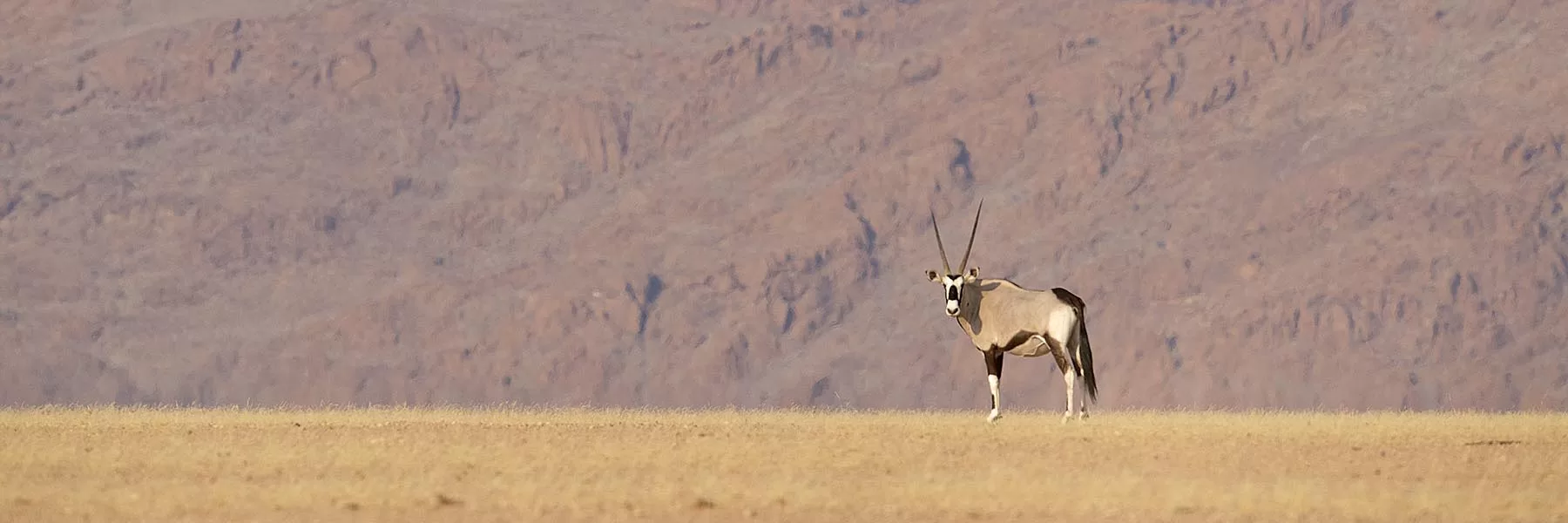 Luxury Namibia Tours