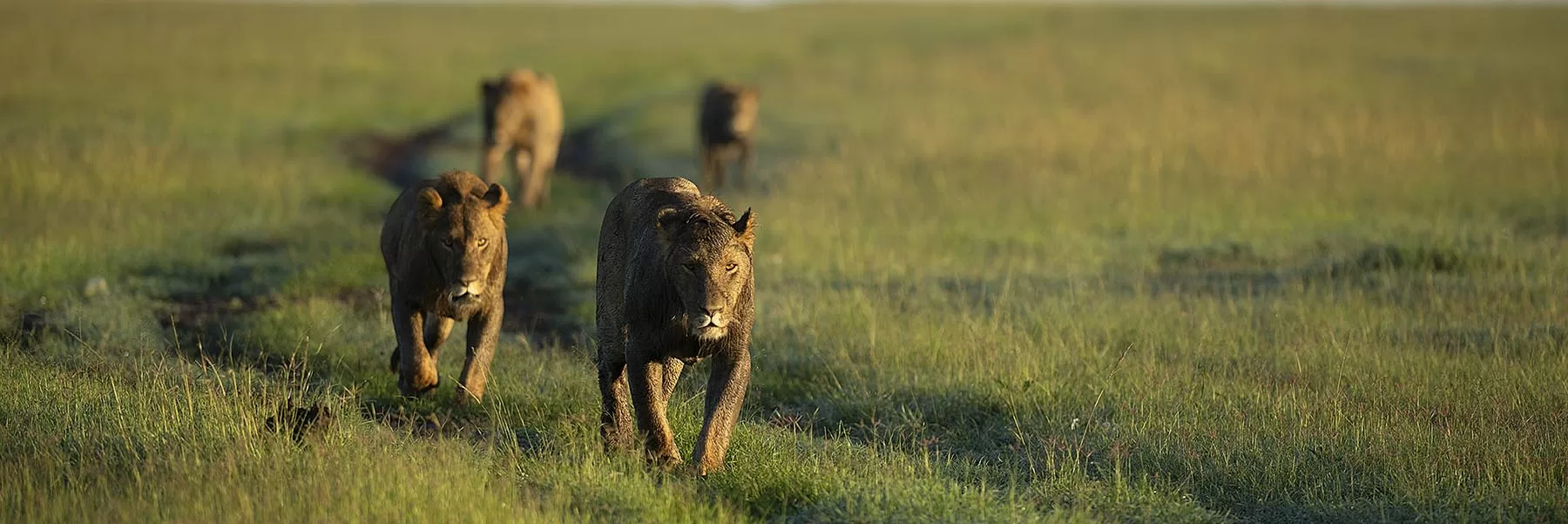 kenya tour packages