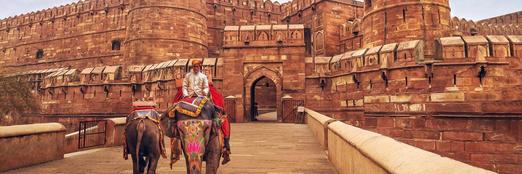 Best India Tours 