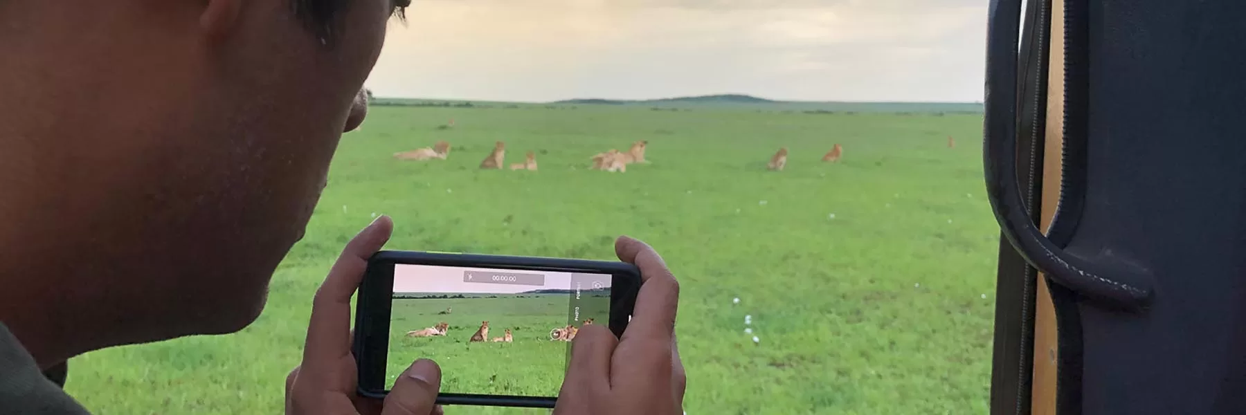 Wildlife safaris in India and Africa