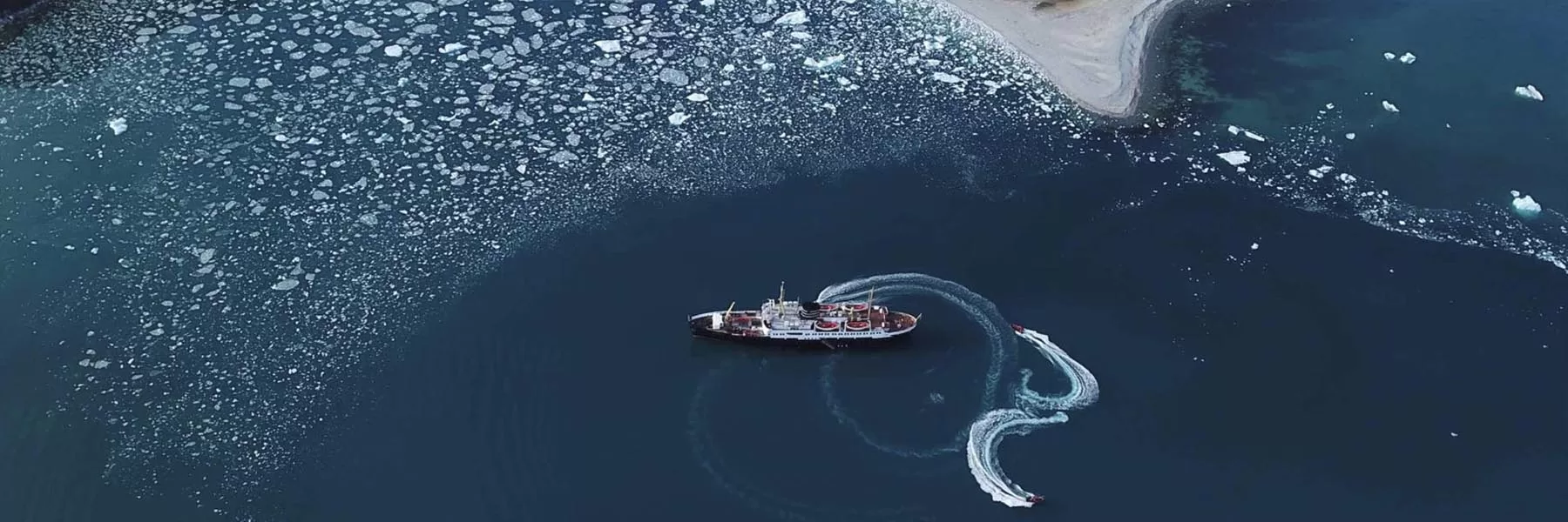 Wildlife cruises by Wild Voyager