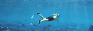 Diving & snorkelling Tours