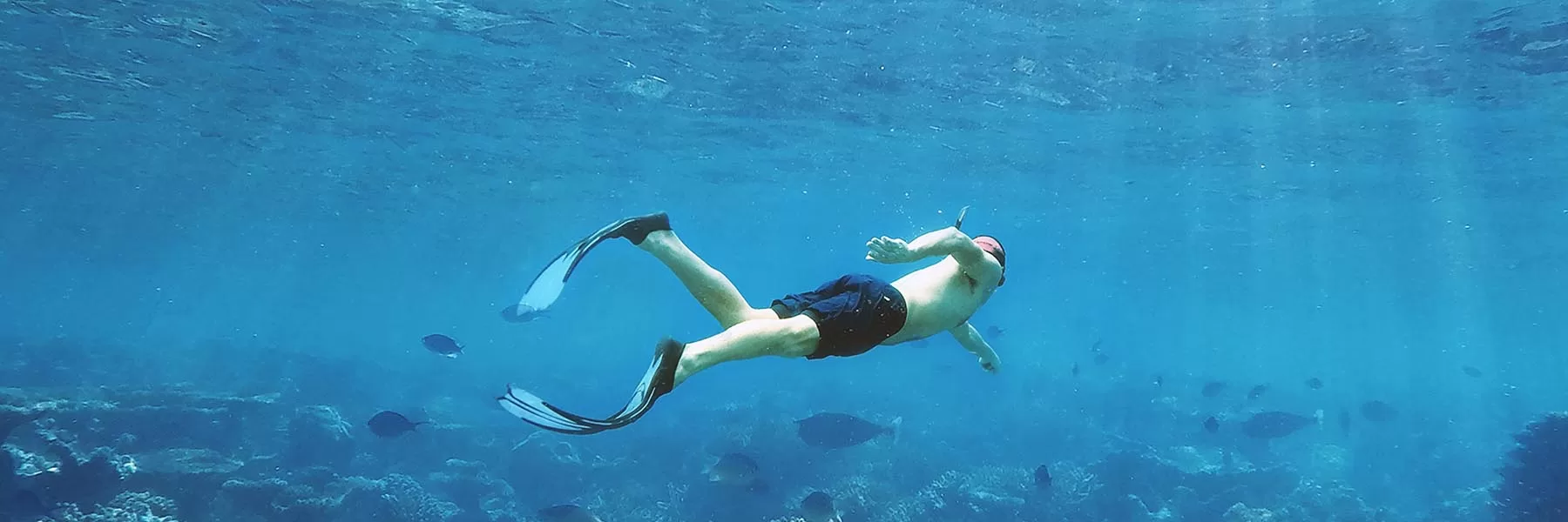 Diving & snorkelling Tours