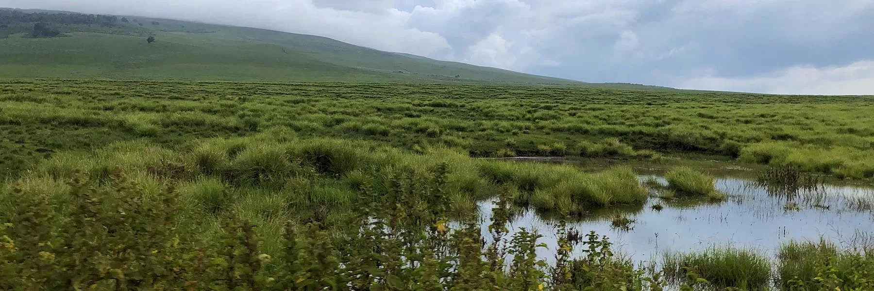 Ngorongoro crater safari