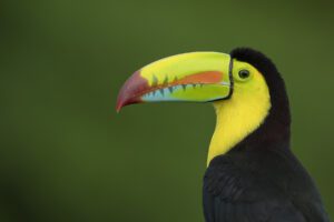  Image Gallery