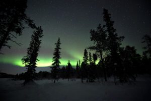  Image Gallery