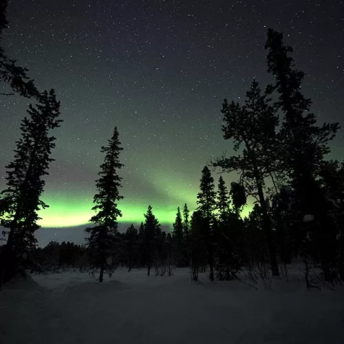 Rovaniemi Tour