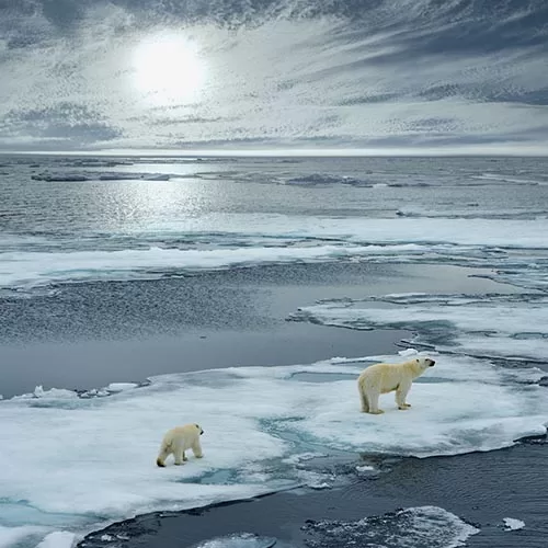 Svalbard