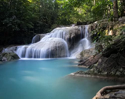 Birding in Thailand