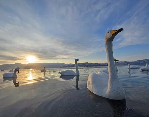 Hokkaido tour