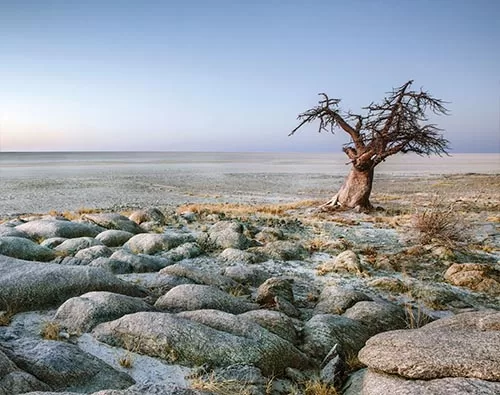 Makgadikgadi Pans tour