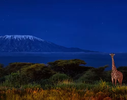 Amboseli National Park Lodges