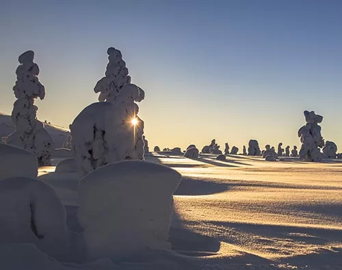 Sweden northern lights tours