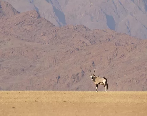 Namibia Camping Safari 