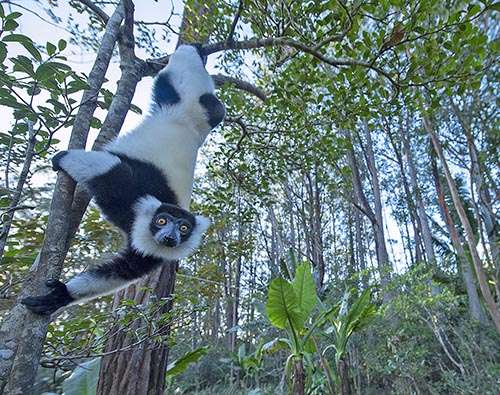 madagascar africa