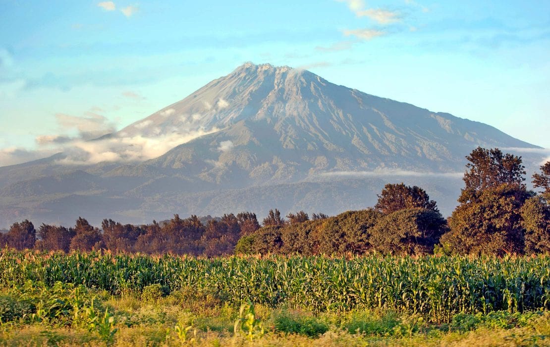 Arusha, Serengeti Ngorongoro Crater Tour