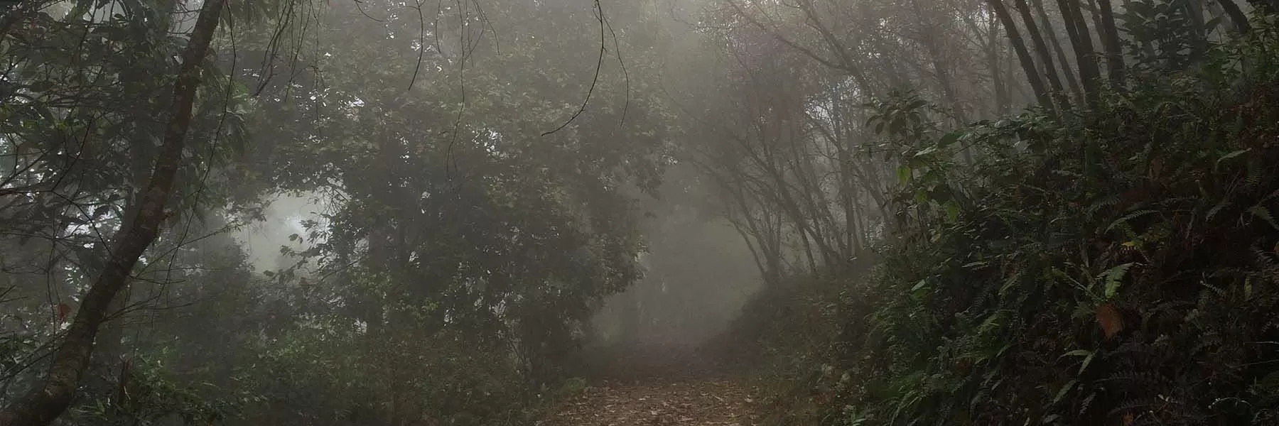 Mahananda Wildlife Sanctuary