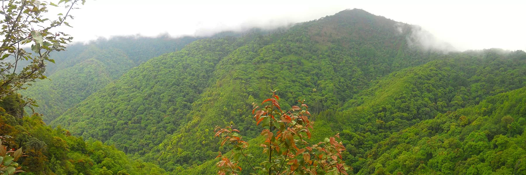 Eaglenest Wildlife Sanctuary
