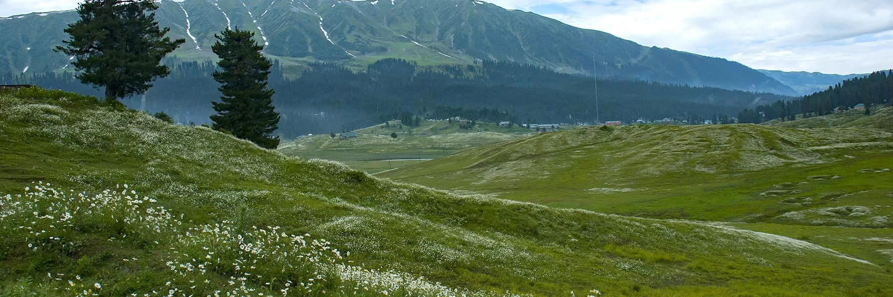 Kashmir