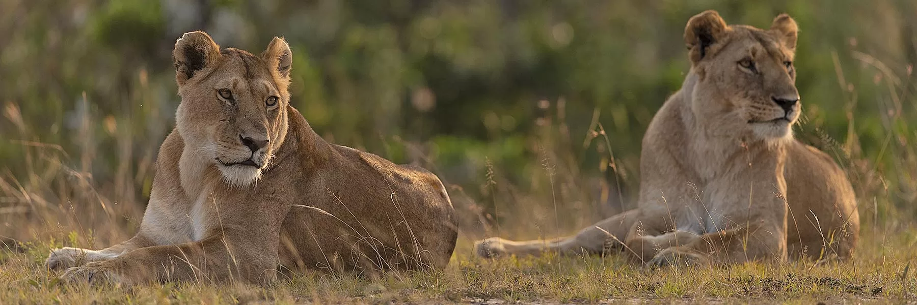 Queen Elizabeth National Park