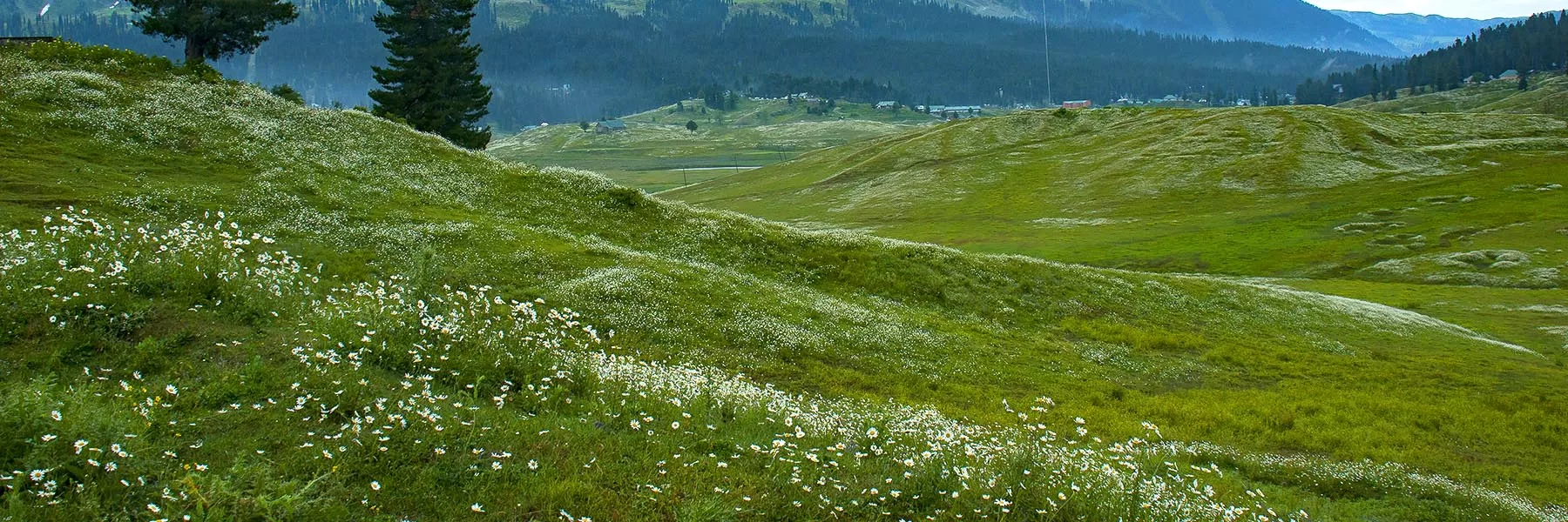 Gulmarg