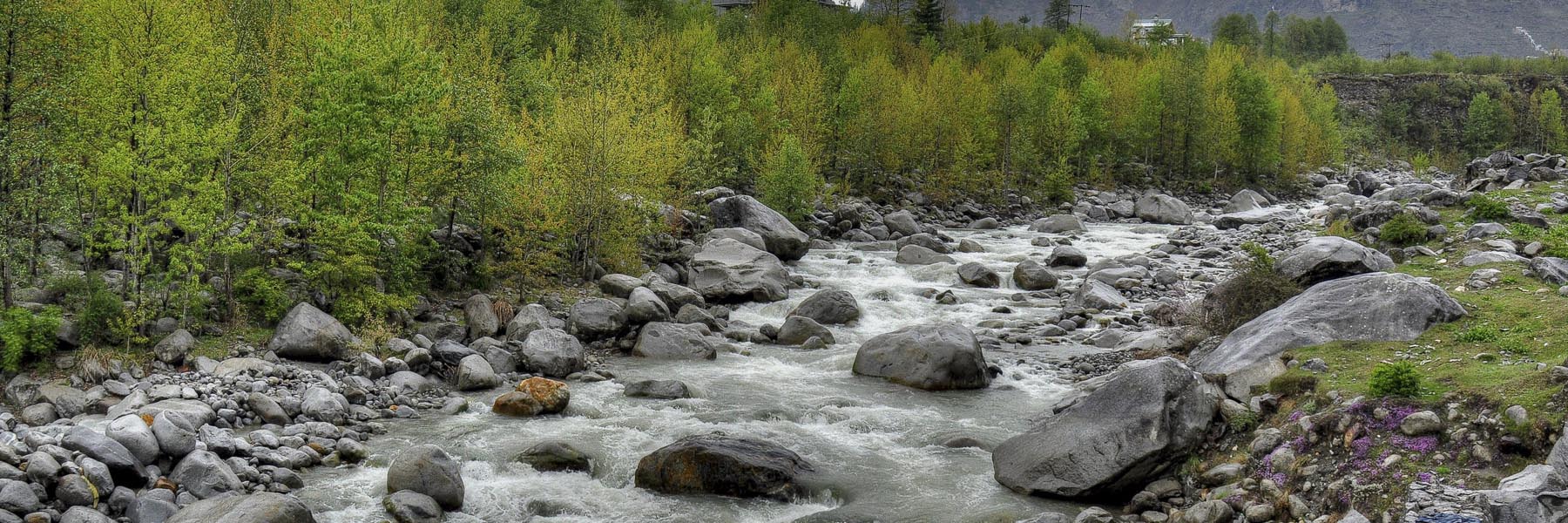 Manali