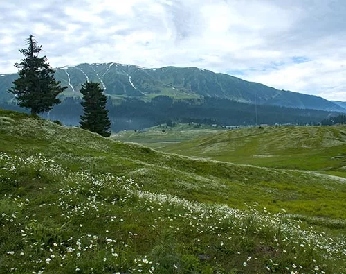 Kashmir tour