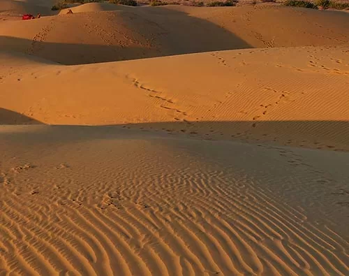Thar Desert tour