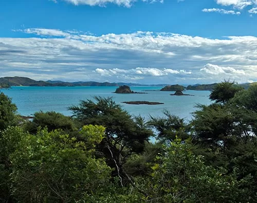 Bay of Islands tour