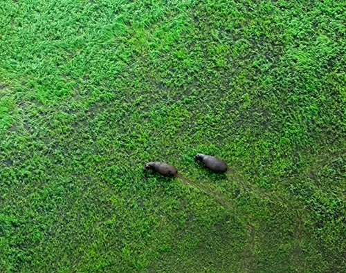 Okavango Explorer tour
