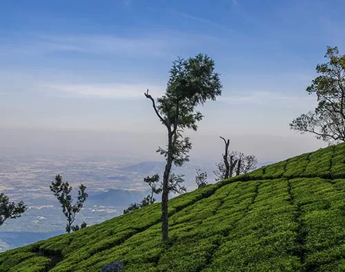Ooty tour