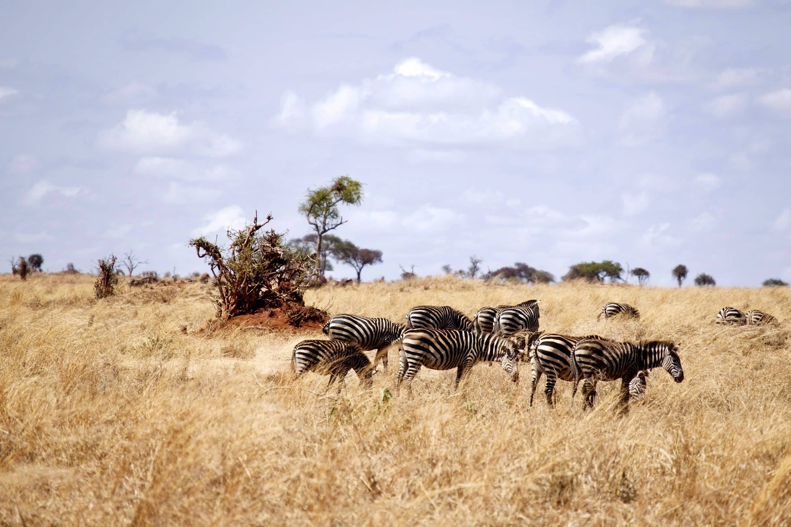 Arusha National park, east africa safari tours & packages