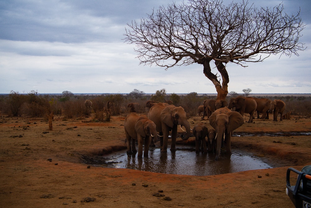 Tsavo, Kenya Explorer Safari Tours