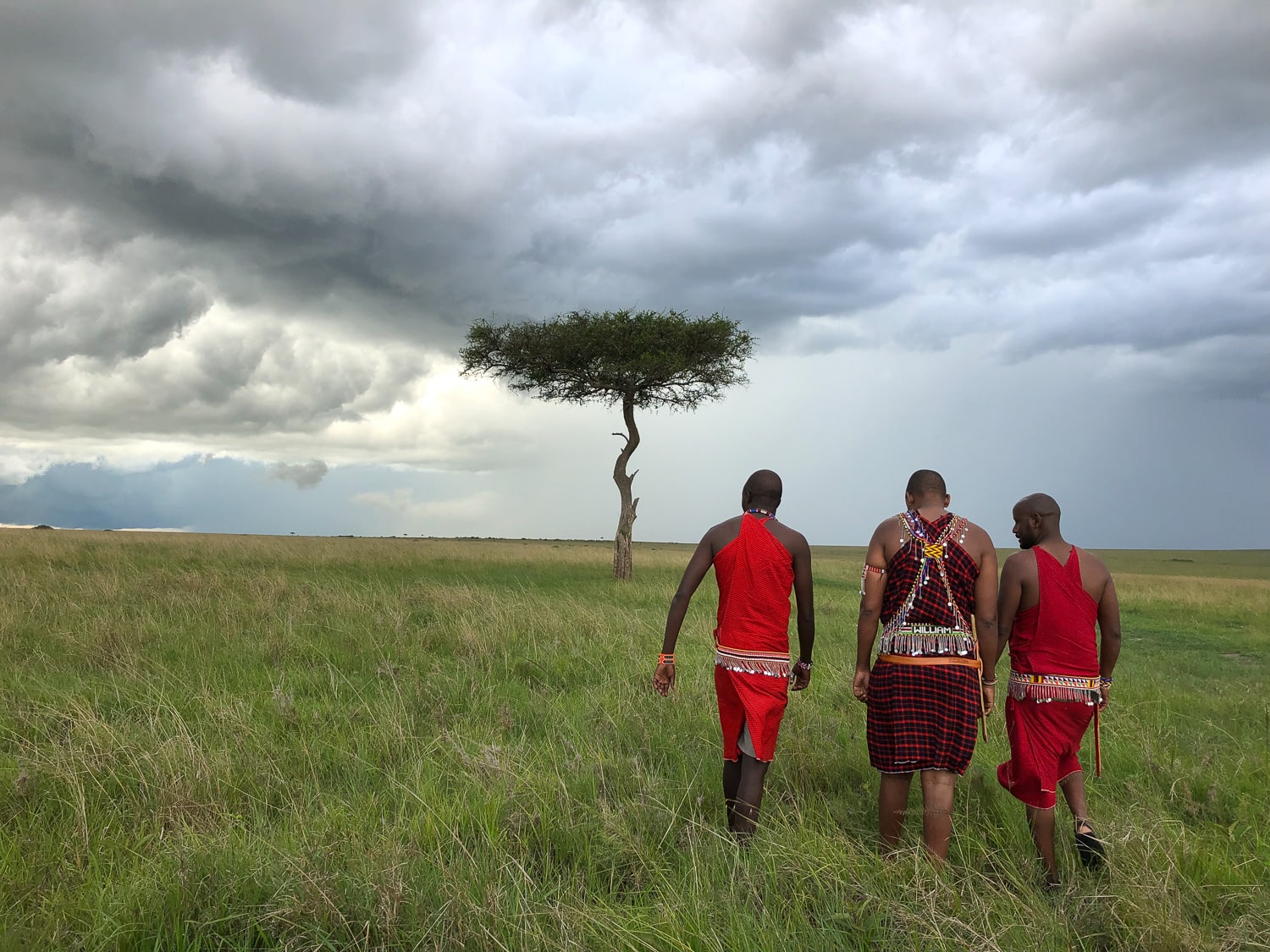 luxury kenya safari tours