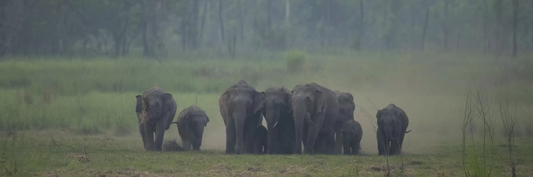Dudhwa National Park