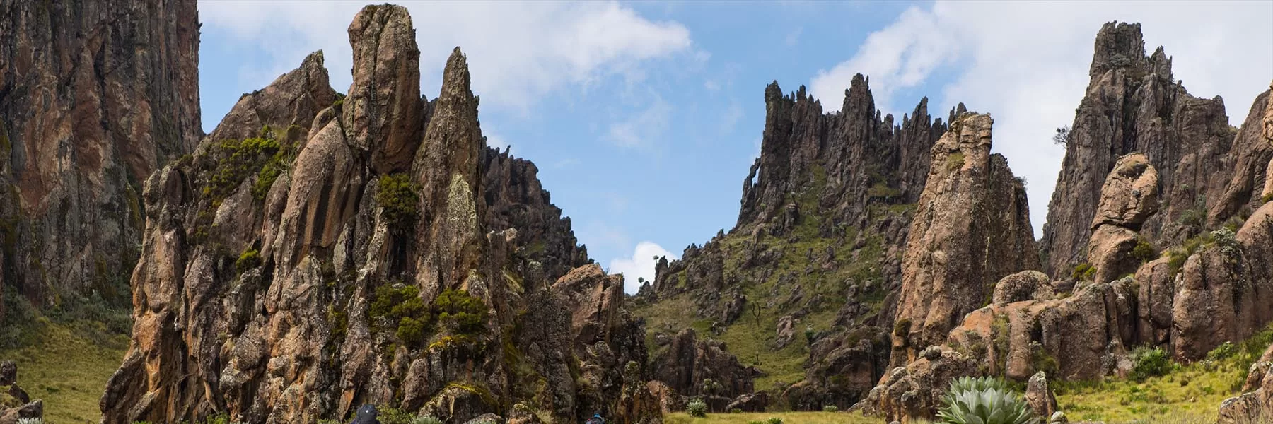Aberdare National Park