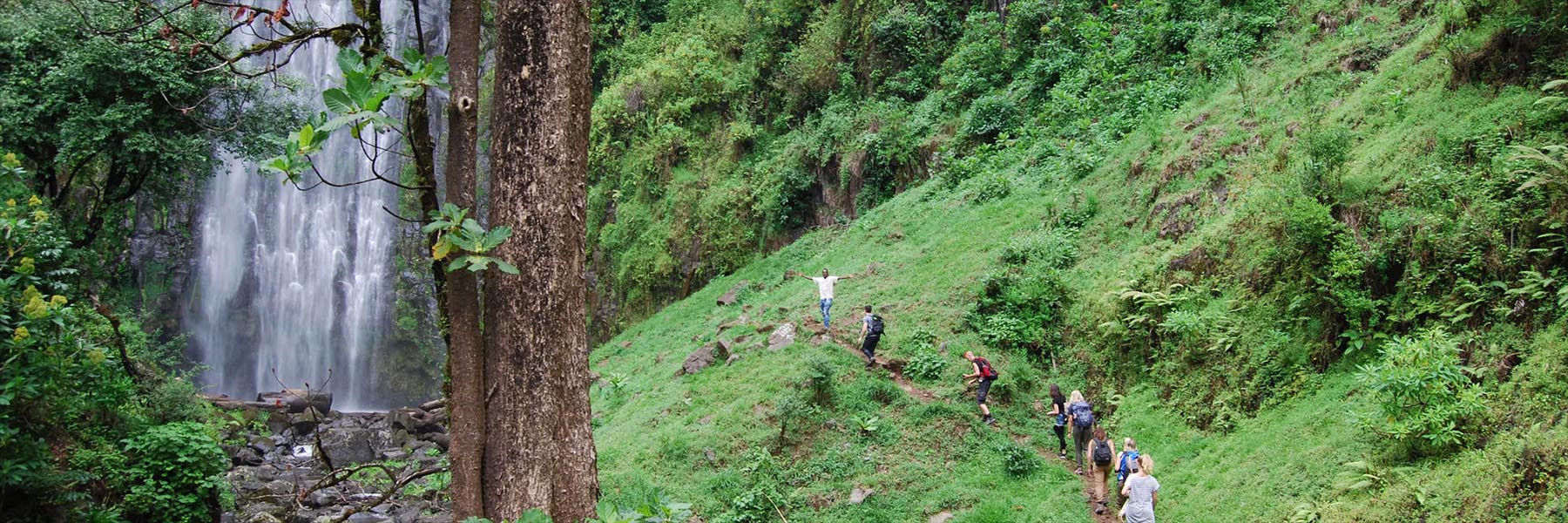 Northern Tanzania Safari