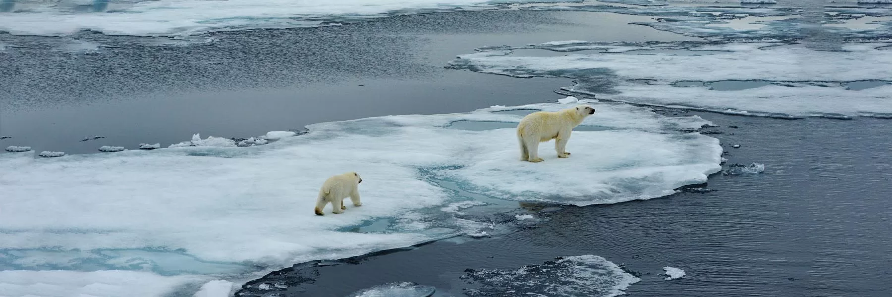 Svalbard Classic 