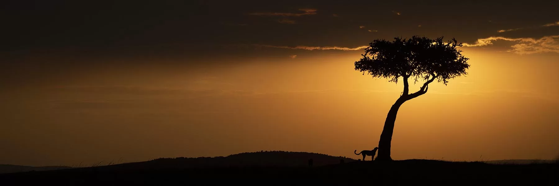  Kenya Luxury Safari