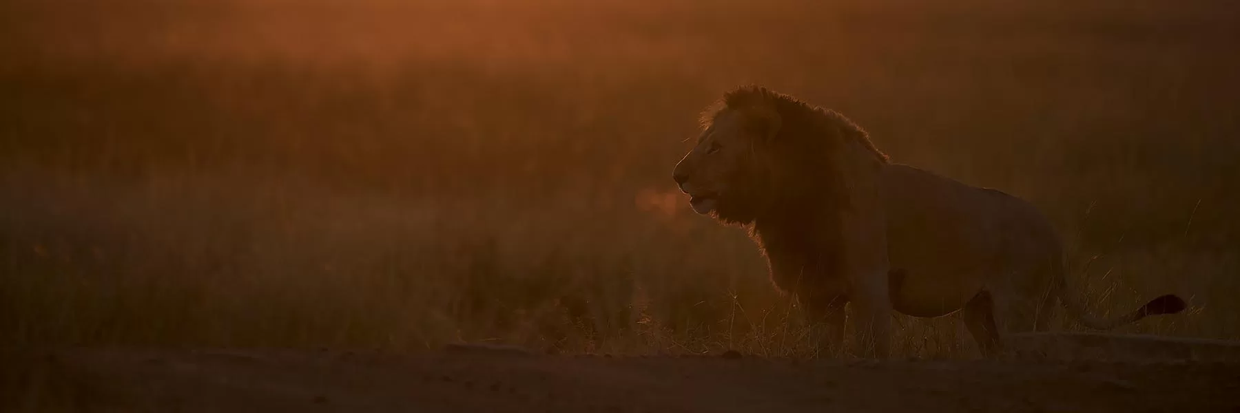 kenya safari tours