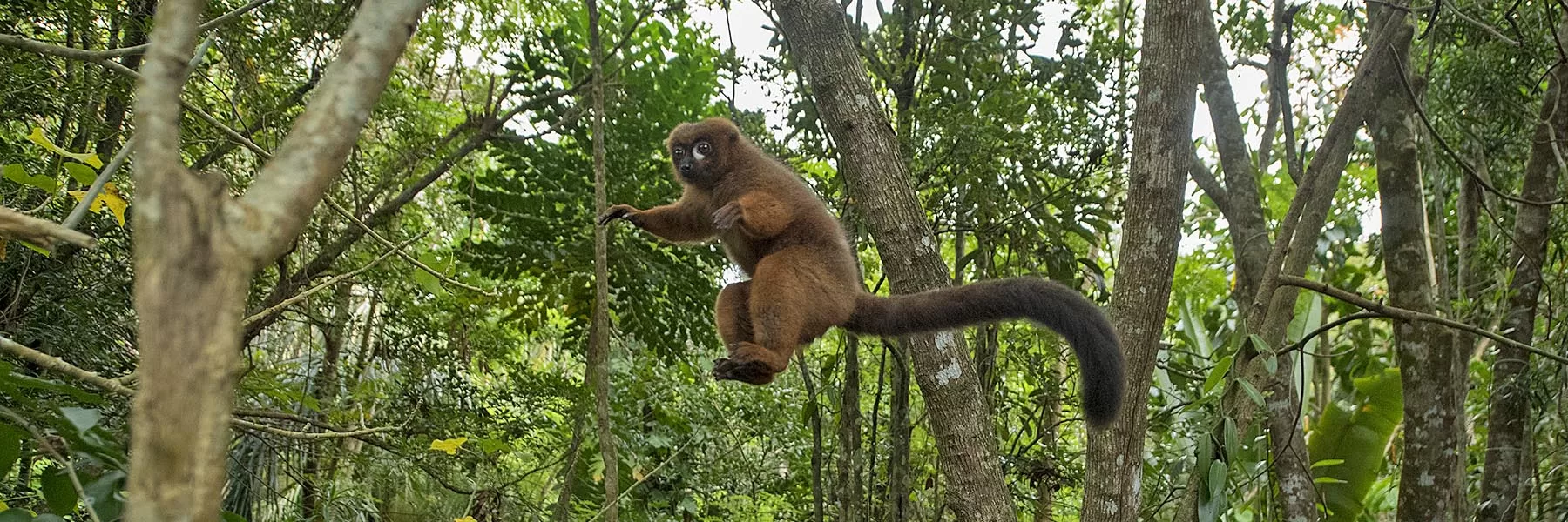 Southern Madagascar