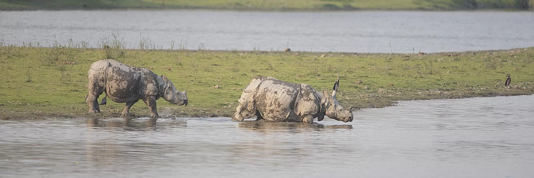 North East India Wildlife