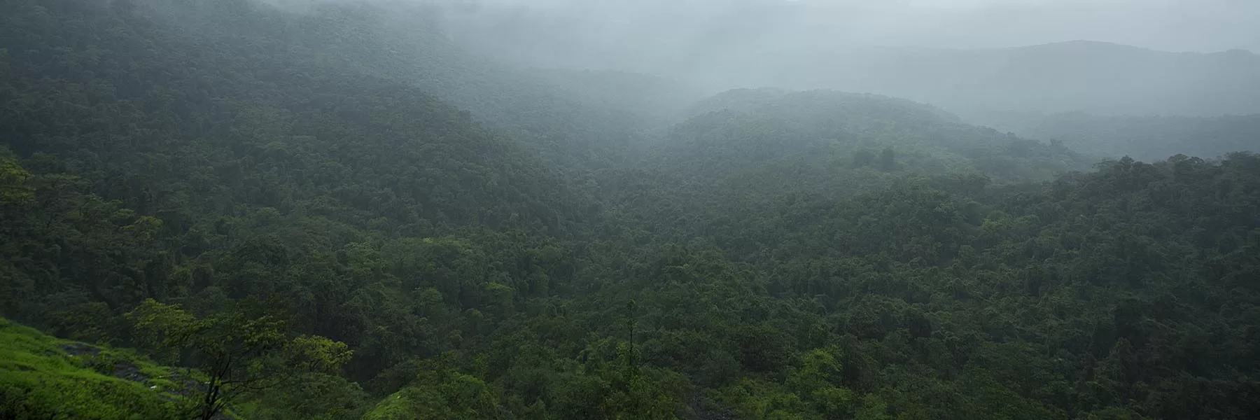  Western Ghats Road Trip