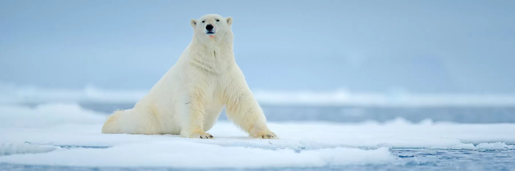 Svalbard Highlights 